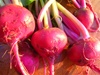 Fresh Ruby Red Beets from a Tucson Garden