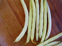 Cherokee Wax Bush Beans