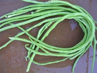 Yard Long Beans (Red Seed)