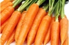 Nantes Carrots