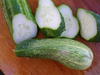 Fresh homemade pickles cucumber seeds