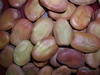 Fava Broad Windsor Beans