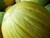 Casaba Golden Beauty Melon