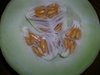 Honeydew Melon-Green Fleshed