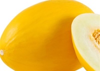 Yellow Canary (Jaunes des Canaries) Melon