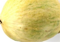 Crenshaw Melon