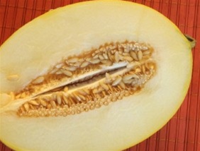  200 Organic Orange Flesh Honeydew Melon Seeds Non GMO  Harvested in USA for Planting : Patio, Lawn & Garden